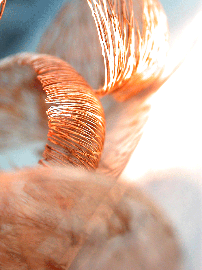 Wanddeko Makrofoto Natur Kornblume
